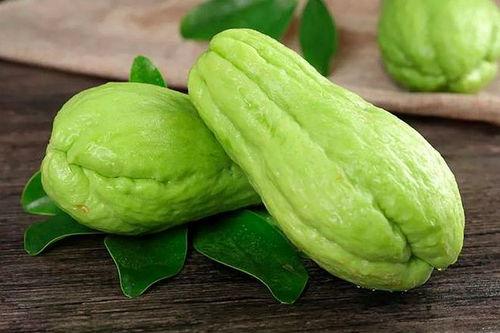 蓝桉吃瓜,蓝桉的瓜田奇遇记